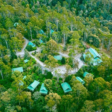 Отель Lemonthyme Wilderness Retreat Moina Экстерьер фото